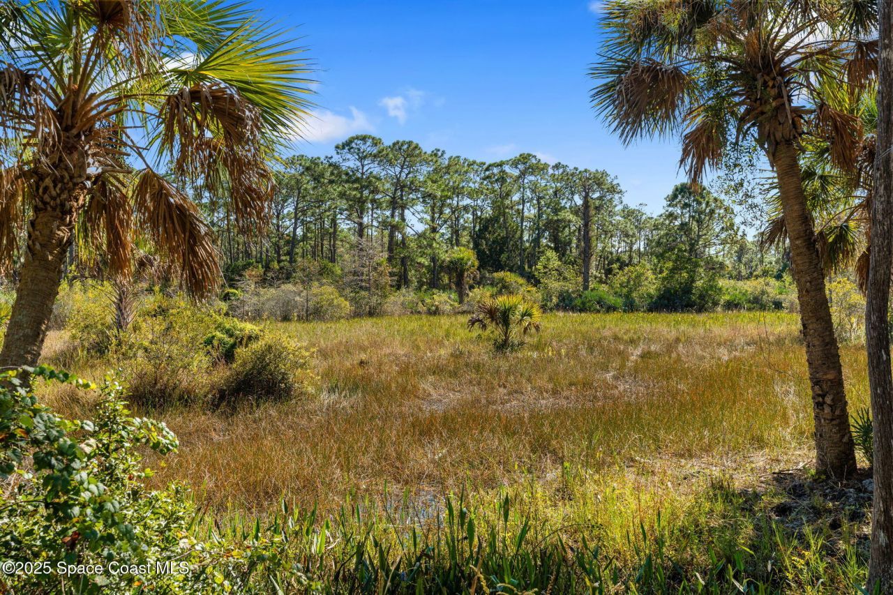 5849 Judy Kay Road, Grant, FL 32949 Photo