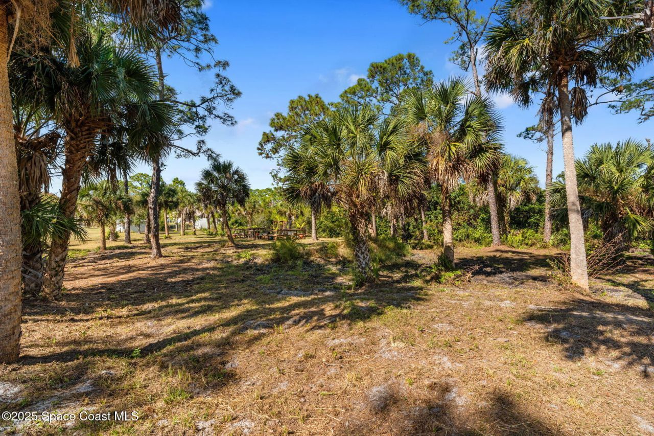 5849 Judy Kay Road, Grant, FL 32949 Photo