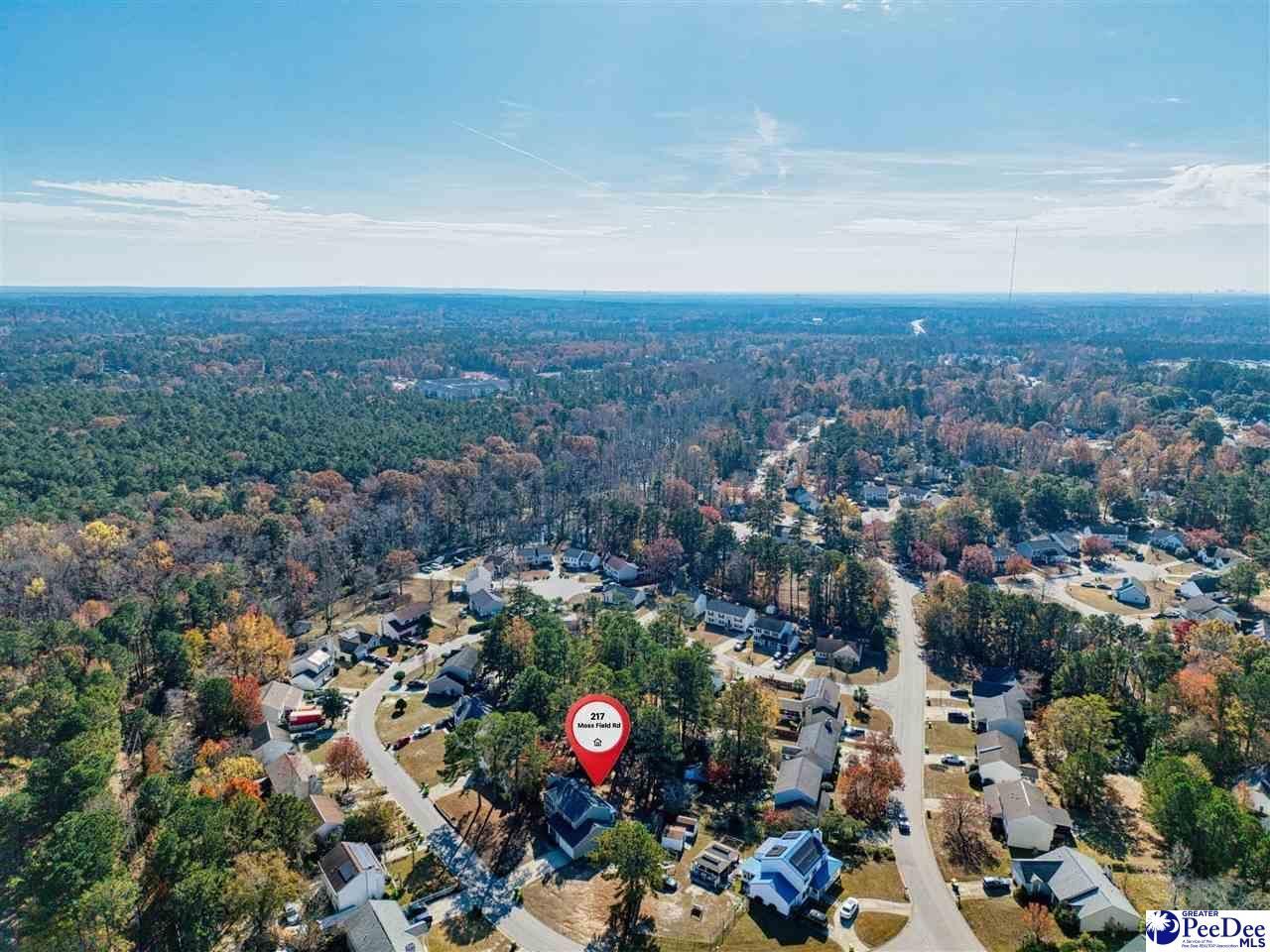 217 Moss Field Road Photo 35