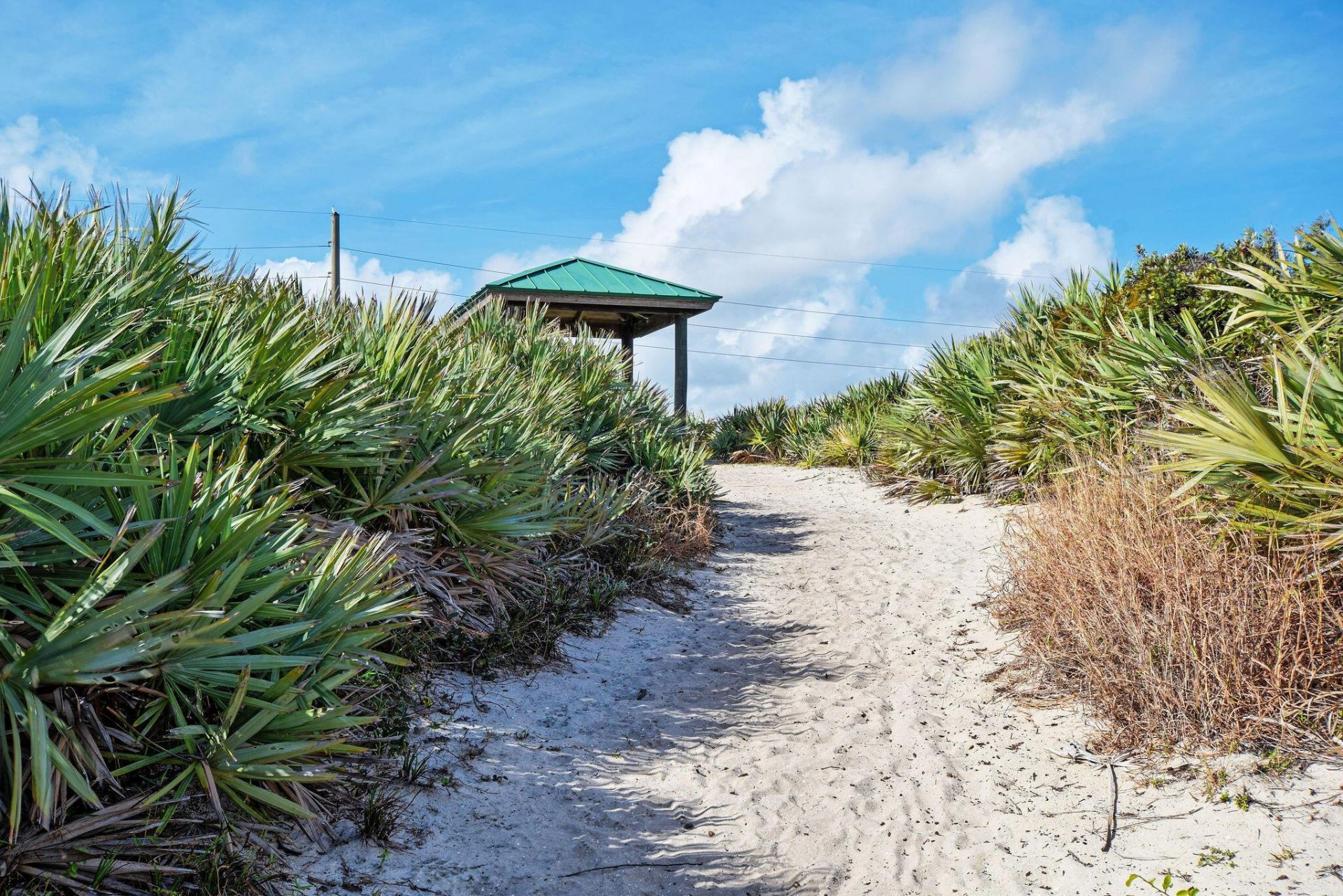 941 Ocean Drive, Juno Beach, FL 33408 Photo