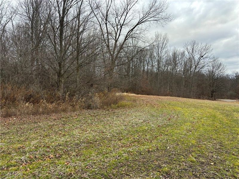 St Route 225, Diamond, OH 44412 Photo 2