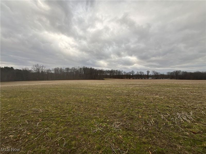 St Route 225, Diamond, OH 44412 Photo 4