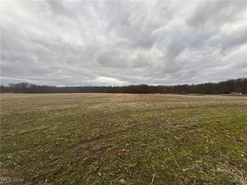 St Route 225, Diamond, OH 44412 Photo 6