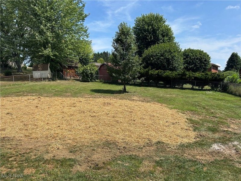 539 Forestview Drive, Wintersville, OH 43953 Photo 26