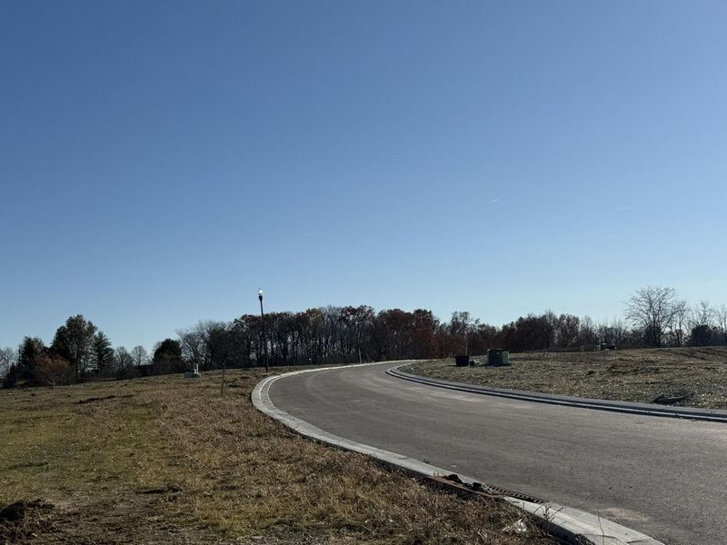 810 Durrow Drive, Unit Lot #14, Independence, KY 41051 Photo 10