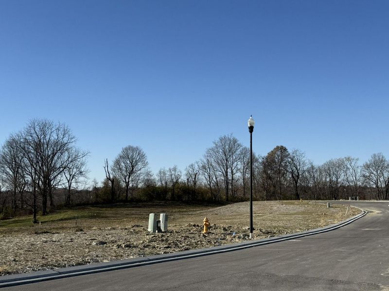 810 Durrow Drive, Unit Lot #14, Independence, KY 41051 Photo 11