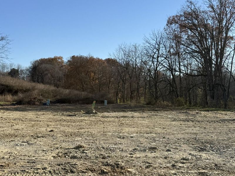 810 Durrow Drive, Unit Lot #14, Independence, KY 41051 Photo 12
