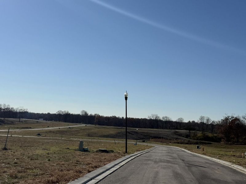 810 Durrow Drive, Unit Lot #14, Independence, KY 41051 Photo 2