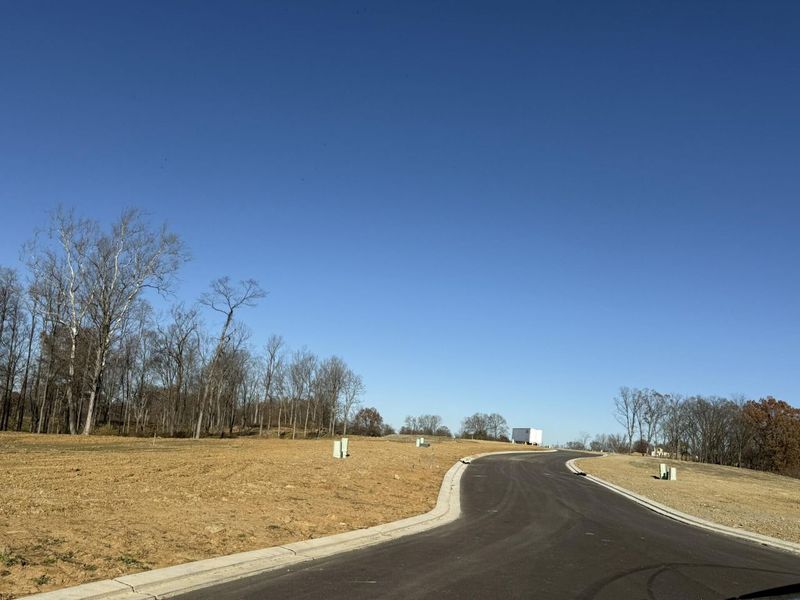 810 Durrow Drive, Unit Lot #14, Independence, KY 41051 Photo 3