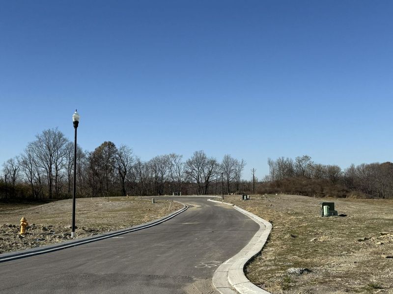 810 Durrow Drive, Unit Lot #14, Independence, KY 41051 Photo 4