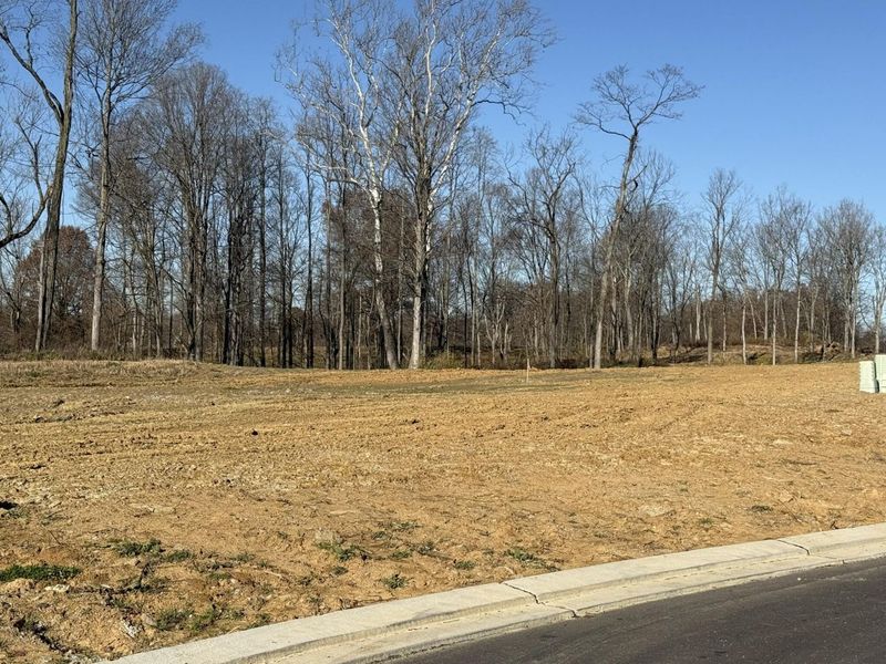 810 Durrow Drive, Unit Lot #14, Independence, KY 41051 Photo 5