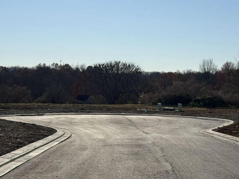 810 Durrow Drive, Unit Lot #14, Independence, KY 41051 Photo 6
