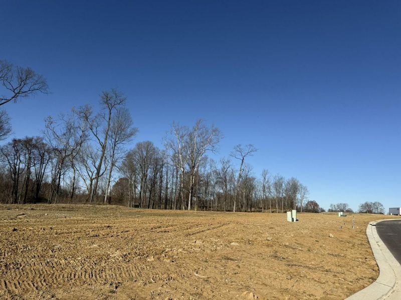 810 Durrow Drive, Unit Lot #14, Independence, KY 41051 Photo 7