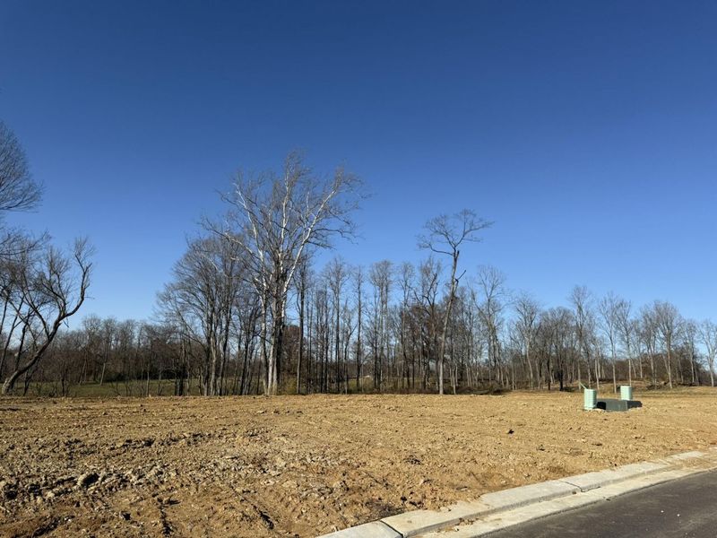 810 Durrow Drive, Unit Lot #14, Independence, KY 41051 Photo 8