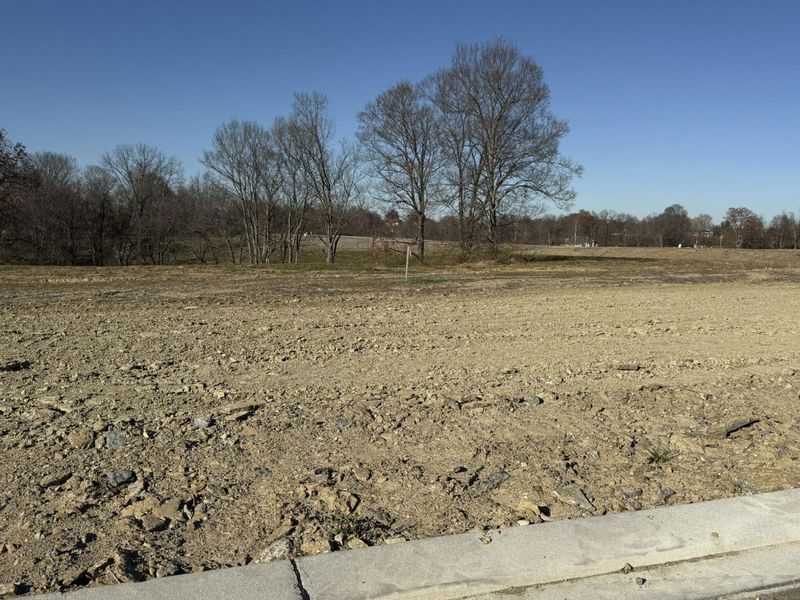 810 Durrow Drive, Unit Lot #14, Independence, KY 41051 Photo 9