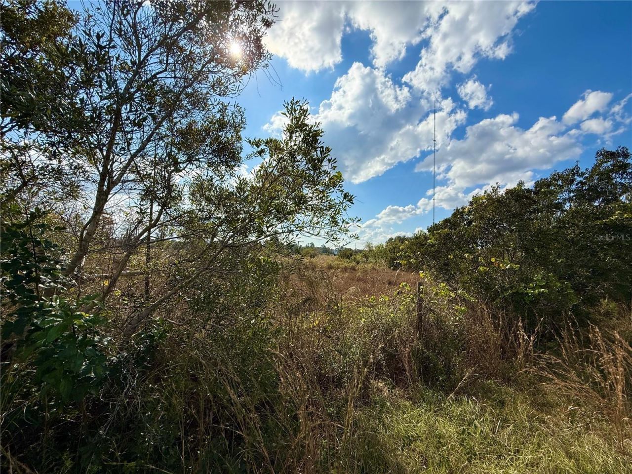 Lot 9 Fort Christmas Road, Christmas, FL 32709 Photo
