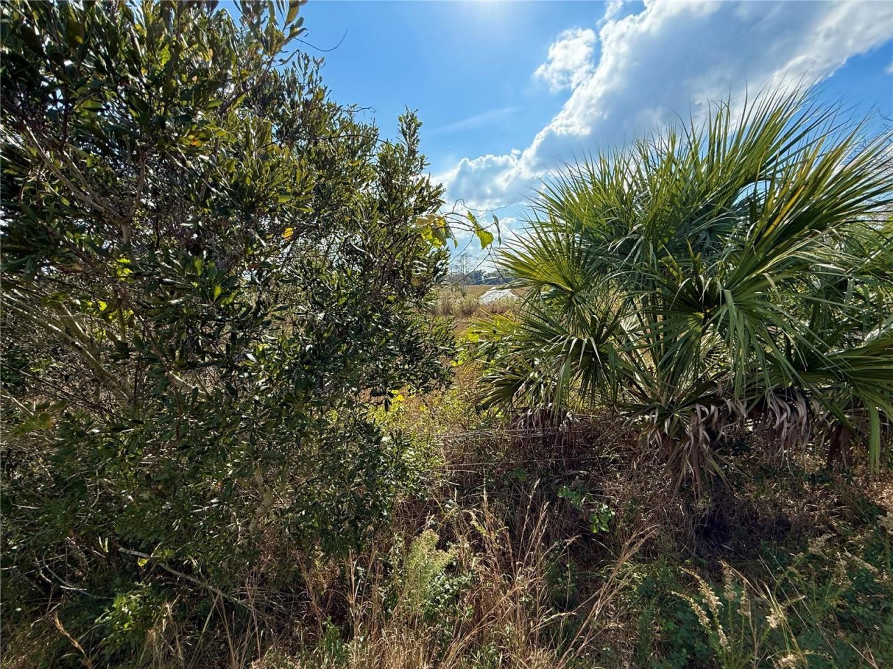 Lot 9 Fort Christmas Road, Christmas, FL 32709 Photo