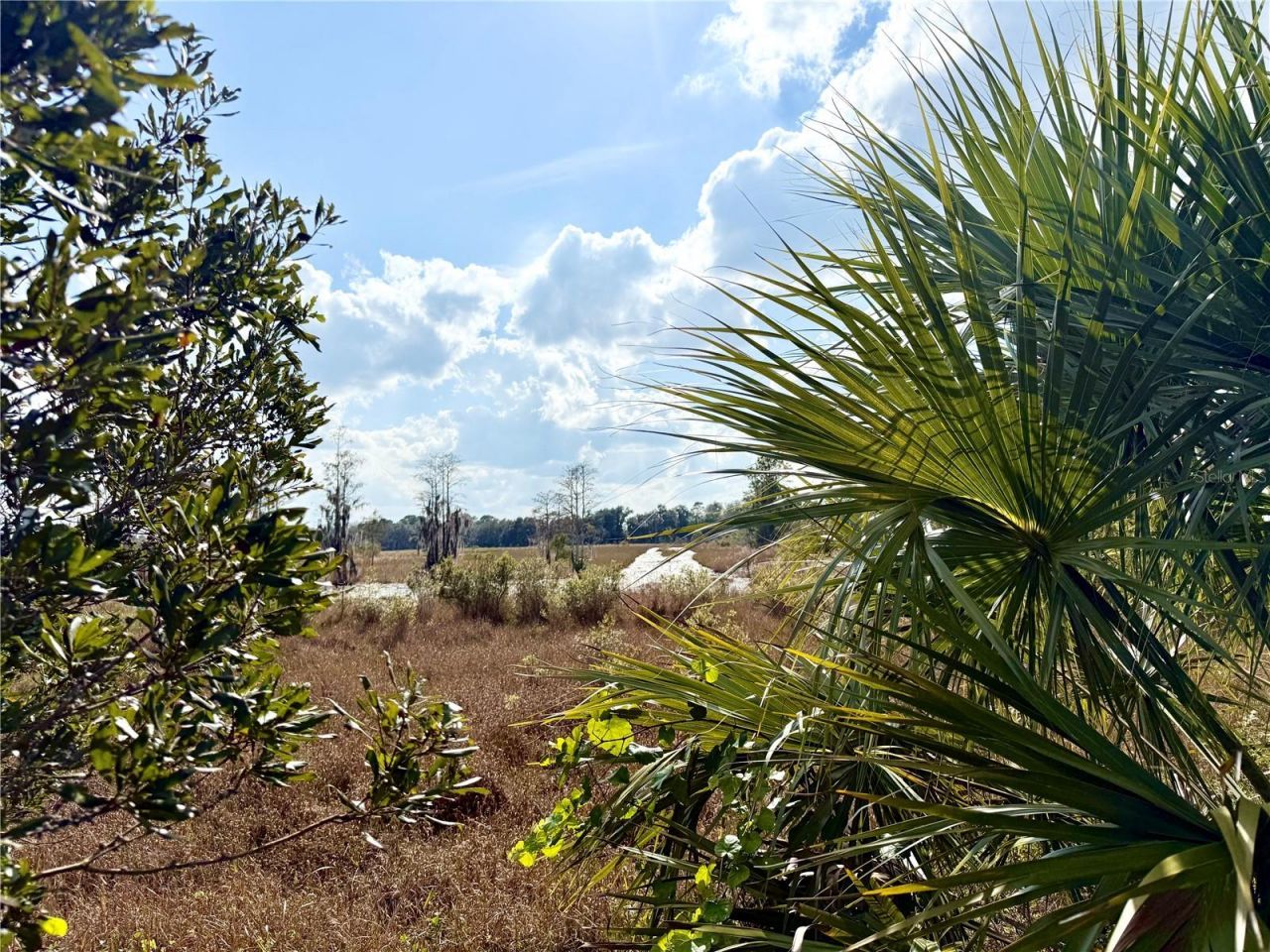 Lot 9 Fort Christmas Road, Christmas, FL 32709 Photo