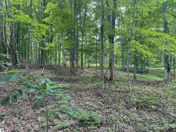 11599 Tower S, Maple City, MI 49664