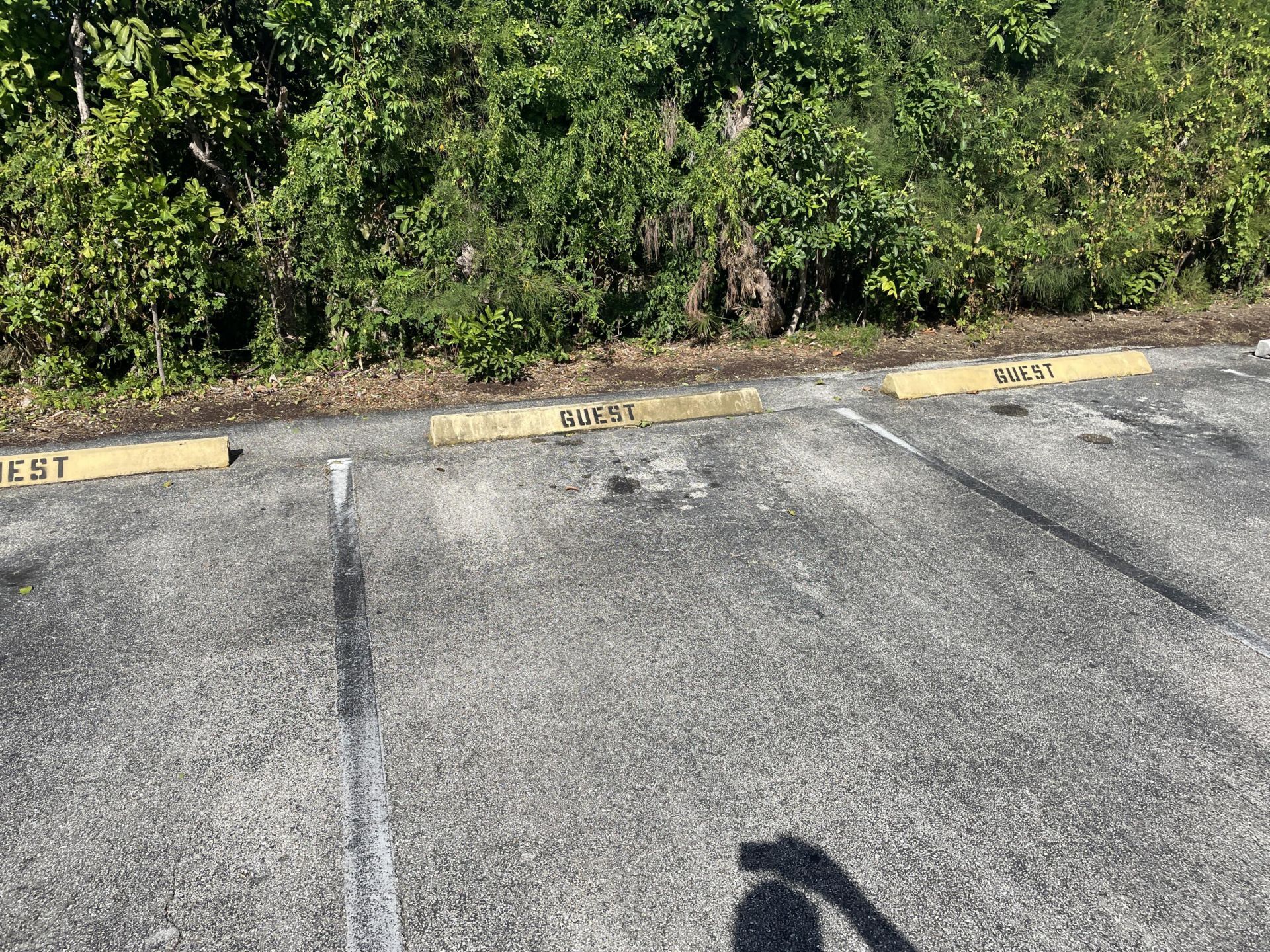 3300 Springdale Boulevard, Unit 201, Palm Springs, FL 33461 Photo