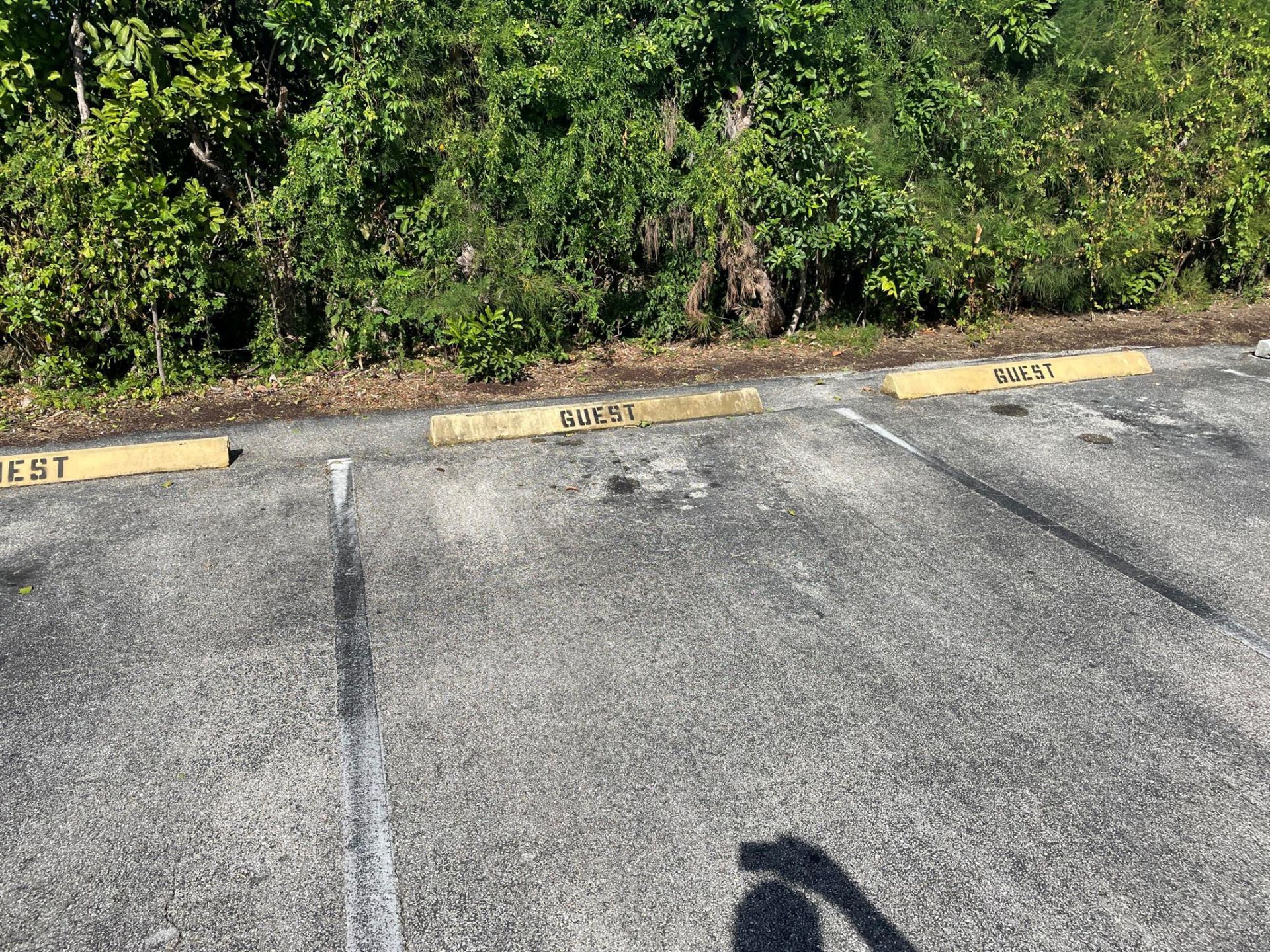 3300 Springdale Boulevard, Unit 201, Palm Springs, FL 33461 Photo