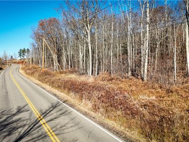 Lot-02 Langford Creek Road, Van Etten, NY 14889