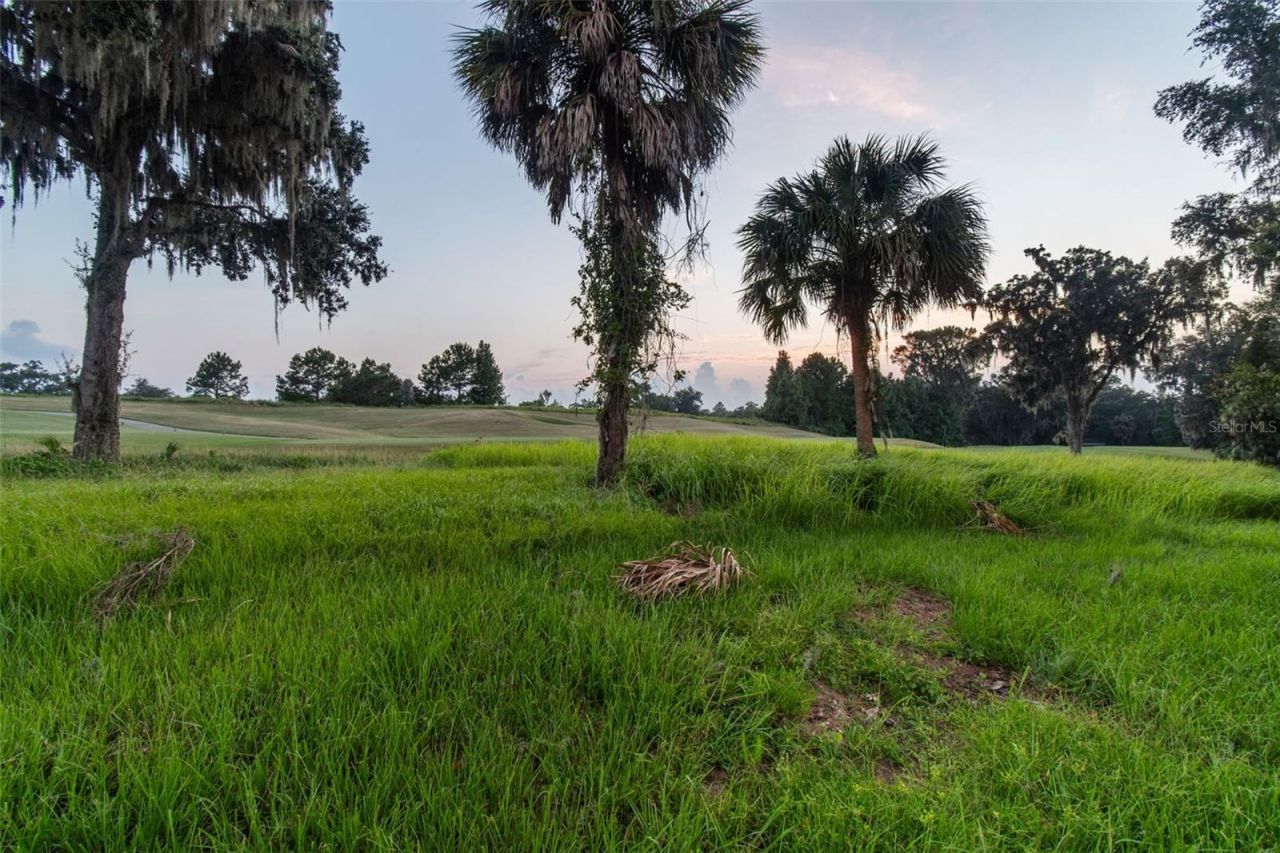 6470 Summit View Drive, Brooksville, FL 34601 Photo