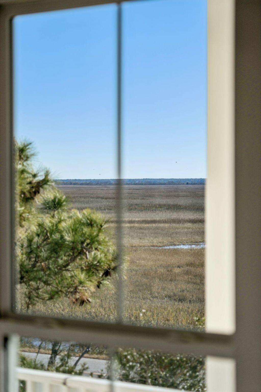 3908 Seafood Lane Photo 29