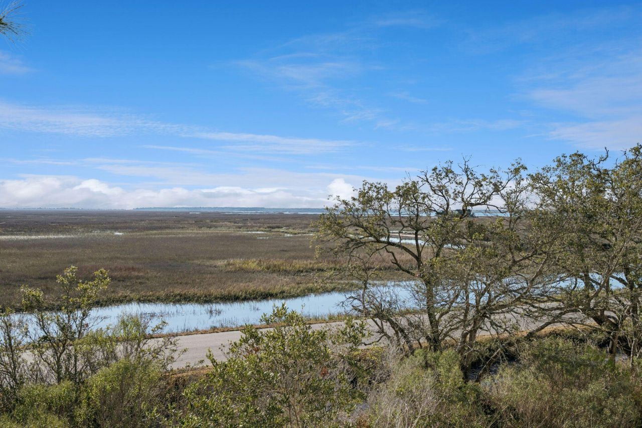 3908 Seafood Lane Photo 96