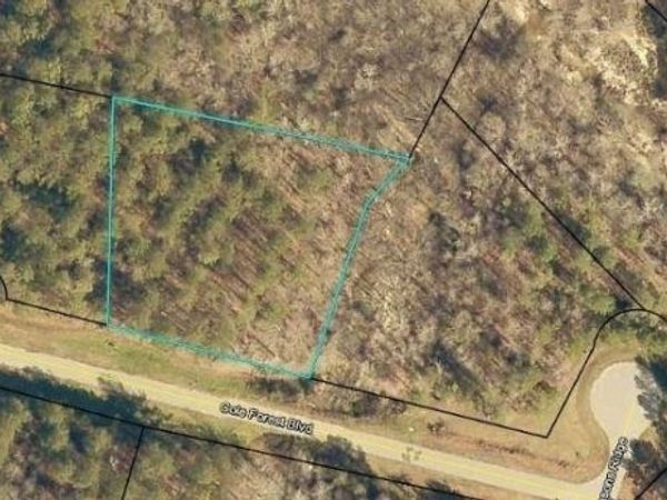LOT 112 Cole Forest Boulevard, Unit LOT 112, Barnesville, GA 30204