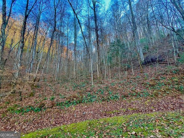 22 Walkers Ridge, Mineral Bluff, GA 30559