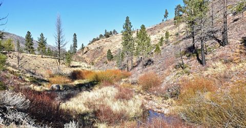 Apn 047 State Route 89, Markleeville, CA 96120 Photo