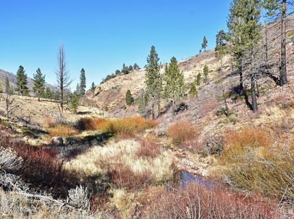 Apn 047 State Route 89, Markleeville, CA 96120 Photo