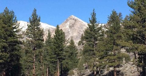 Apn 047 State Route 89, Markleeville, CA 96120 Photo