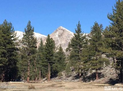 Apn 047 State Route 89, Markleeville, CA 96120 Photo