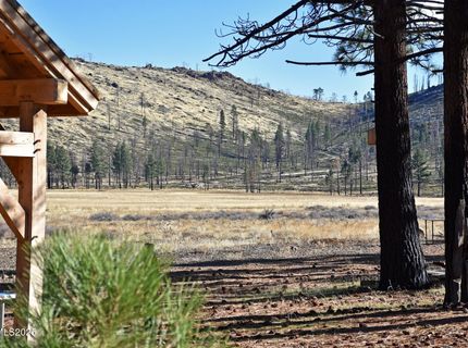 Apn 047 State Route 89, Markleeville, CA 96120 Photo