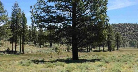 Apn 047 State Route 89, Markleeville, CA 96120 Photo