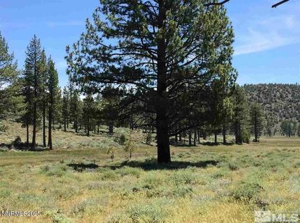 Apn 047 State Route 89, Markleeville, CA 96120 Photo