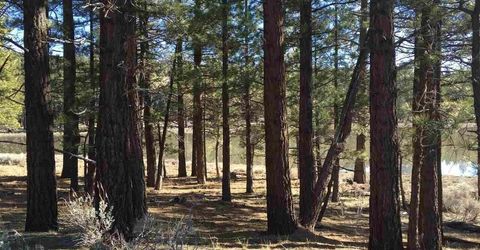 Apn 047 State Route 89, Markleeville, CA 96120 Photo