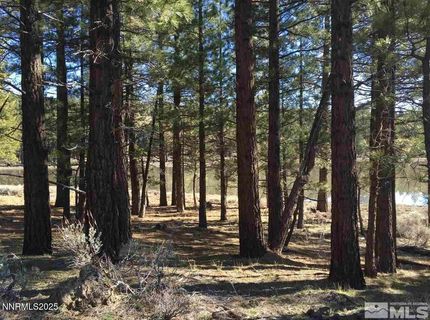 Apn 047 State Route 89, Markleeville, CA 96120 Photo