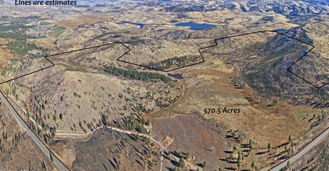 Apn 047 State Route 89, Markleeville, CA 96120 Photo