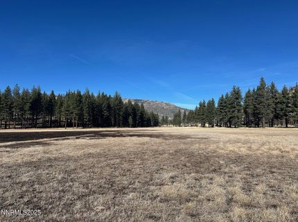 Apn 047 State Route 89, Markleeville, CA 96120 Photo