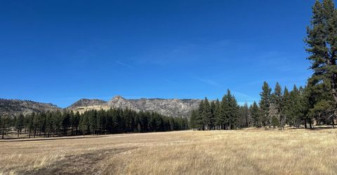 Apn 047 State Route 89, Markleeville, CA 96120 Photo