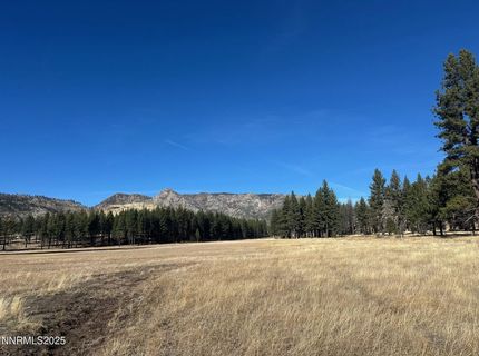 Apn 047 State Route 89, Markleeville, CA 96120 Photo