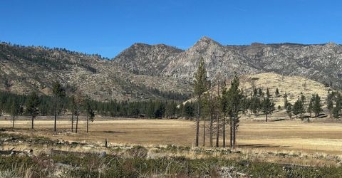 Apn 047 State Route 89, Markleeville, CA 96120 Photo