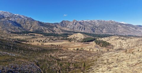 Apn 047 State Route 89, Markleeville, CA 96120 Photo