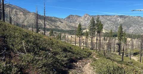 Apn 047 State Route 89, Markleeville, CA 96120 Photo