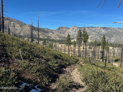 Apn 047 State Route 89, Markleeville, CA 96120 Photo