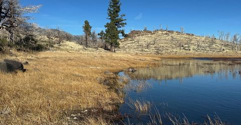 Apn 047 State Route 89, Markleeville, CA 96120 Photo