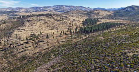 Apn 047 State Route 89, Markleeville, CA 96120 Photo